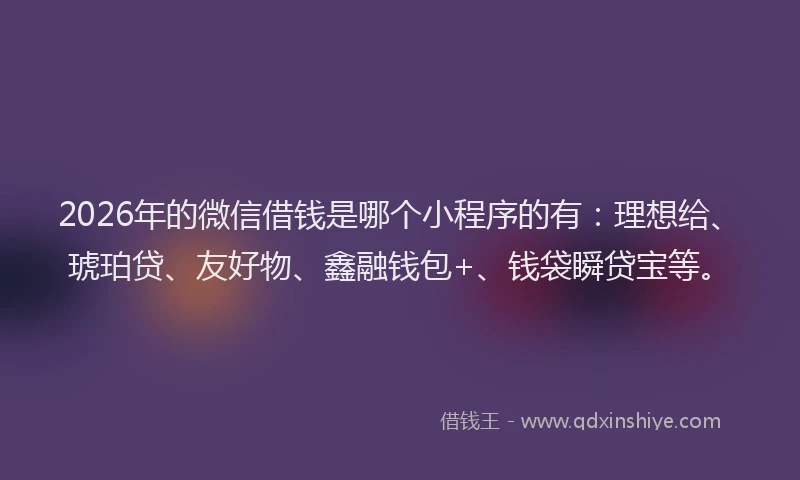 2026年的微信借钱是哪个小程序的有：理想给、琥珀贷、友好物、鑫融钱包+、钱袋瞬贷宝等。