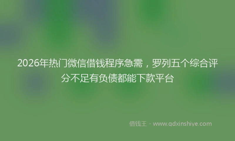 2026年热门微信借钱程序急需，罗列五个综合评分不足有负债都能下款平台