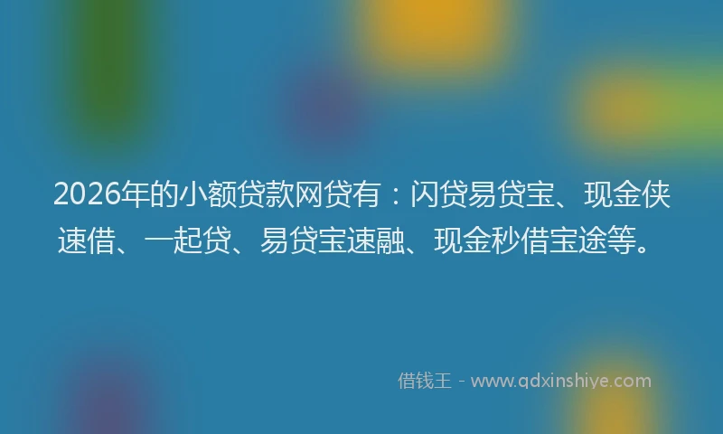 2026年的小额贷款网贷有：闪贷易贷宝、现金侠速借、一起贷、易贷宝速融、现金秒借宝途等。