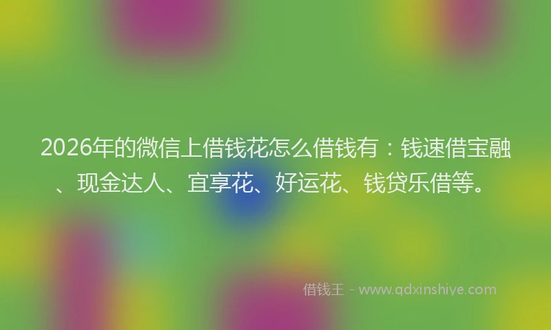 2026年的微信上借钱花怎么借钱有：钱速借宝融、现金达人、宜享花、好运花、钱贷乐借等。
