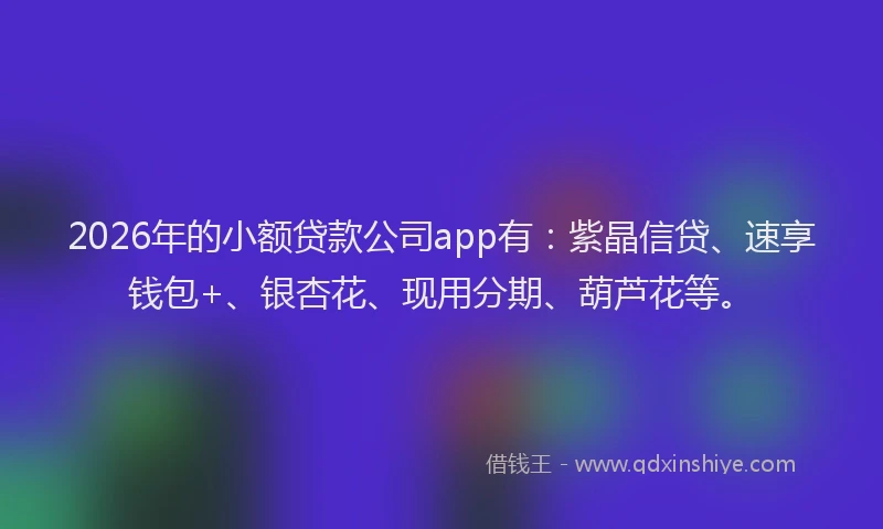 2026年的小额贷款公司app有:紫晶信贷、速享钱包+、银杏花、现用分期、葫芦花等。