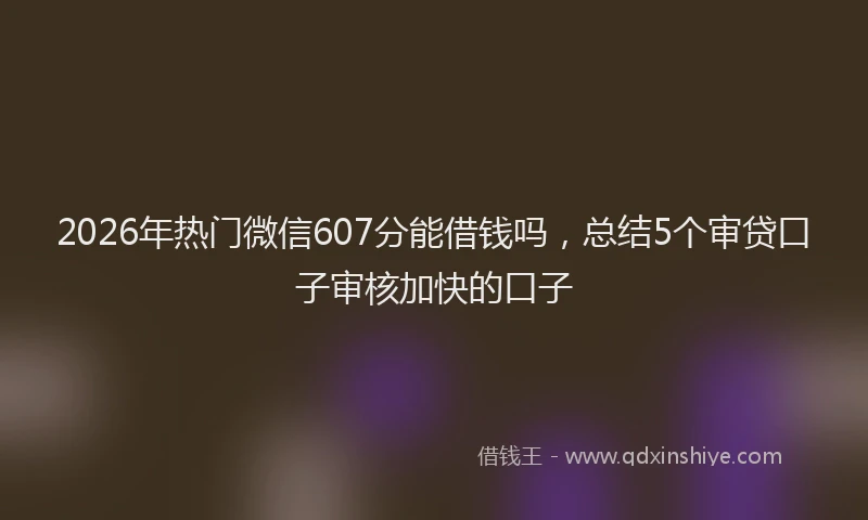 2026年热门微信607分能借钱吗，总结5个审贷口子审核加快的口子