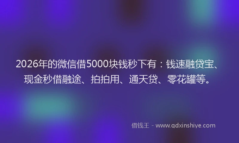 2026年的微信借5000块钱秒下有：钱速融贷宝、现金秒借融途、拍拍用、通天贷、零花罐等。