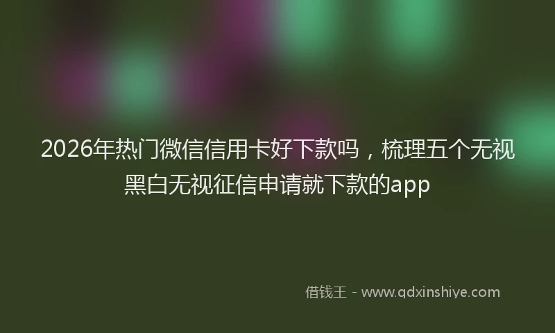 2026年热门微信信用卡好下款吗，梳理五个无视黑白无视征信申请就下款的app