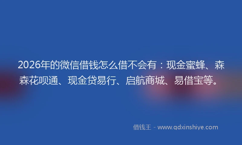 2026年的微信借钱怎么借不会有：现金蜜蜂、森森花呗通、现金贷易行、启航商城、易借宝等。