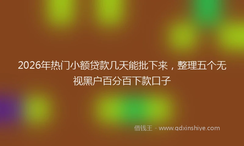 2026年热门小额贷款几天能批下来，整理五个无视黑户百分百下款口子