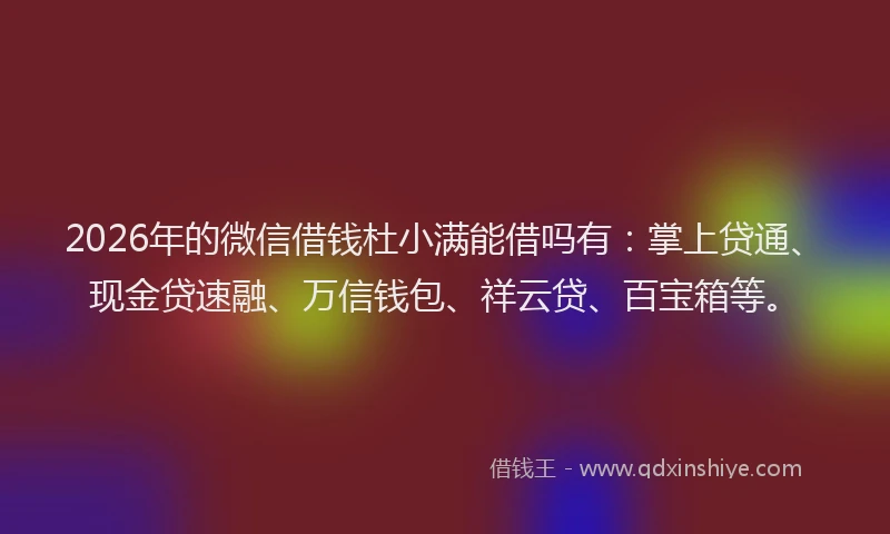 2026年的微信借钱杜小满能借吗有：掌上贷通、现金贷速融、万信钱包、祥云贷、百宝箱等。