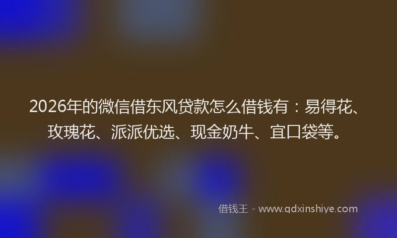 2026年的微信借东风贷款怎么借钱有：易得花、玫瑰花、派派优选、现金奶牛、宜口袋等。
