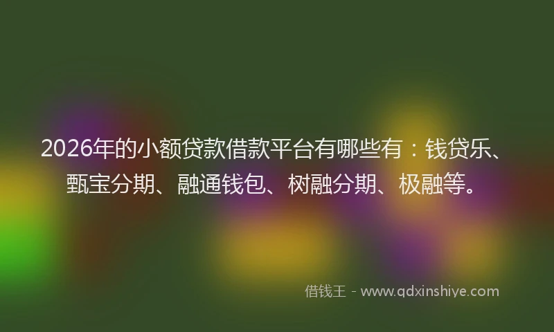 2026年的小额贷款借款平台有哪些有:钱贷乐、甄宝分期、融通钱包、树融分期、极融等。