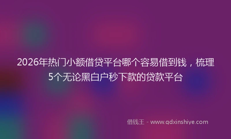 2026年热门小额借贷平台哪个容易借到钱，梳理5个无论黑白户秒下款的贷款平台