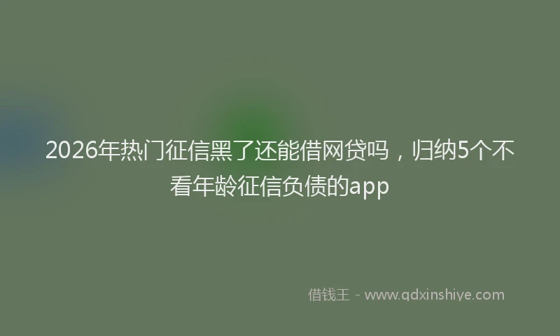 2026年热门征信黑了还能借网贷吗，归纳5个不看年龄征信负债的app