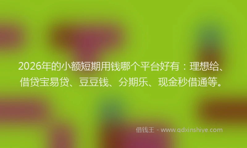 2026年的小额短期用钱哪个平台好有：理想给、借贷宝易贷、豆豆钱、分期乐、现金秒借通等。