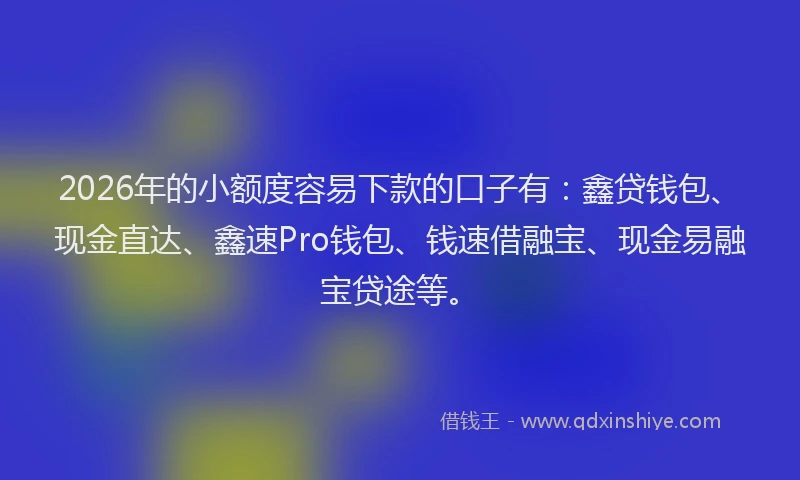 2026年的小额度容易下款的口子有：鑫贷钱包、现金直达、鑫速Pro钱包、钱速借融宝、现金易融宝贷途等。