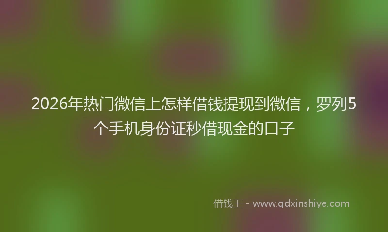 2026年热门微信上怎样借钱提现到微信，罗列5个手机身份证秒借现金的口子