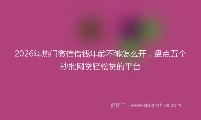 2026年热门微信借钱年龄不够怎么开，盘点五个秒批网贷轻松贷的平台
