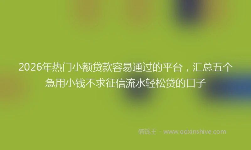 2026年热门小额贷款容易通过的平台，汇总五个急用小钱不求征信流水轻松贷的口子