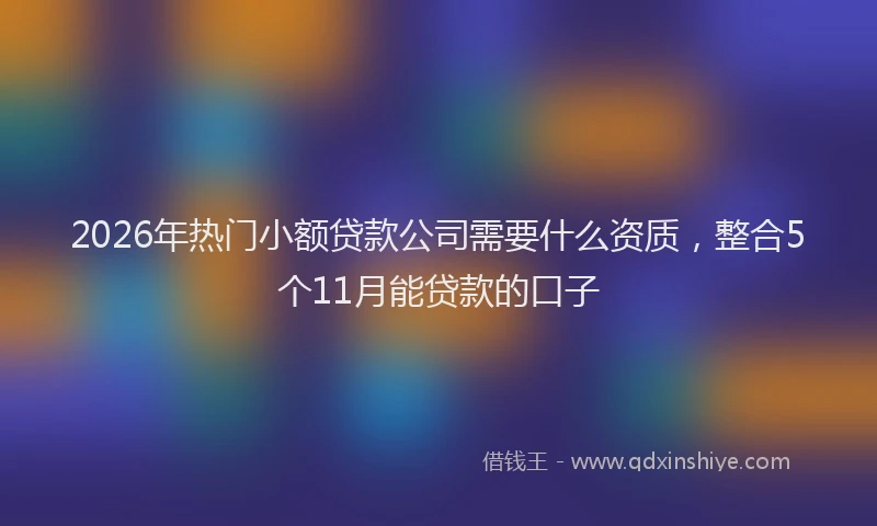 2026年热门小额贷款公司需要什么资质，整合5个11月能贷款的口子