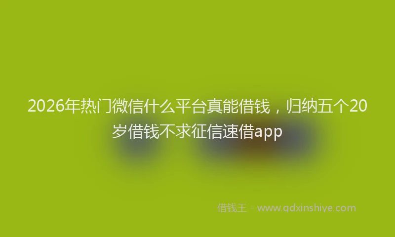 2026年热门微信什么平台真能借钱，归纳五个20岁借钱不求征信速借app