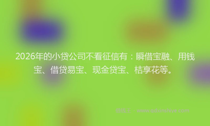 2026年的小贷公司不看征信有：瞬借宝融、用钱宝、借贷易宝、现金贷宝、桔享花等。