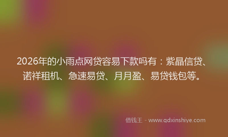 2026年的小雨点网贷容易下款吗有：紫晶信贷、诺祥租机、急速易贷、月月盈、易贷钱包等。