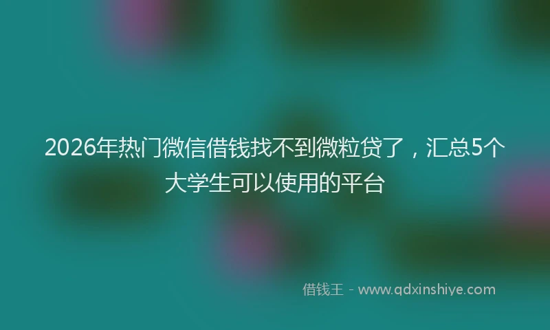 2026年热门微信借钱找不到微粒贷了,汇总5个大学生可以使用的平台