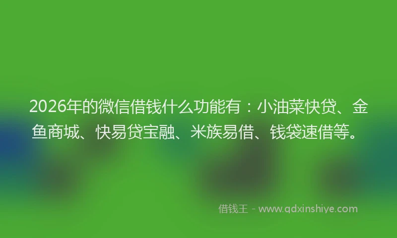 2026年的微信借钱什么功能有：小油菜快贷、金鱼商城、快易贷宝融、米族易借、钱袋速借等。
