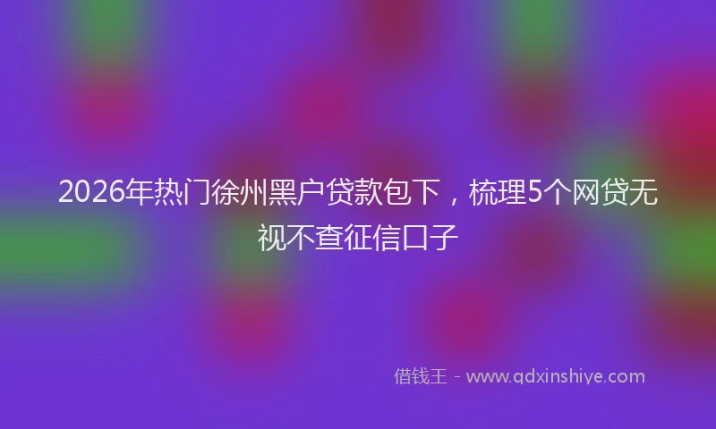 2026年热门徐州黑户贷款包下，梳理5个网贷无视不查征信口子