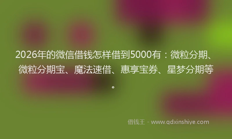 2026年的微信借钱怎样借到5000有:微粒分期、微粒分期宝、魔法速借、惠享宝券、星梦分期等。