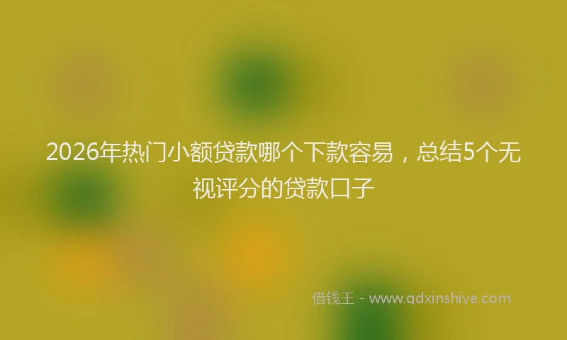 2026年热门小额贷款哪个下款容易，总结5个无视评分的贷款口子