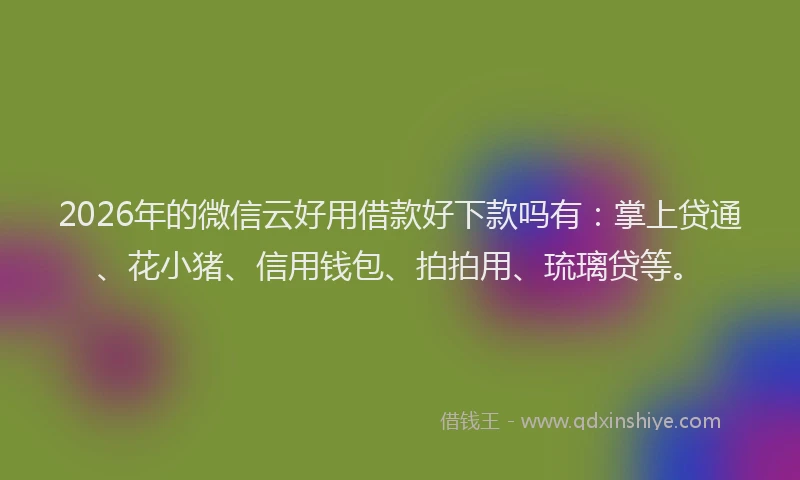 2026年的微信云好用借款好下款吗有：掌上贷通、花小猪、信用钱包、拍拍用、琉璃贷等。