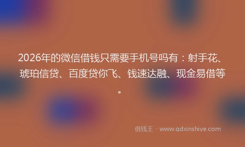 2026年的微信借钱只需要手机号吗有：射手花、琥珀信贷、百度贷你飞、钱速达融、现金易借等。