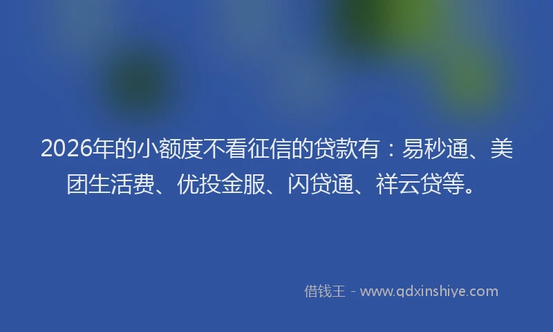2026年的小额度不看征信的贷款有：易秒通、美团生活费、优投金服、闪贷通、祥云贷等。