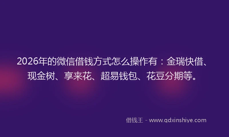 2026年的微信借钱方式怎么操作有：金瑞快借、现金树、享来花、超易钱包、花豆分期等。