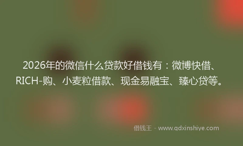 2026年的微信什么贷款好借钱有：微博快借、RICH-购、小麦粒借款、现金易融宝、臻心贷等。