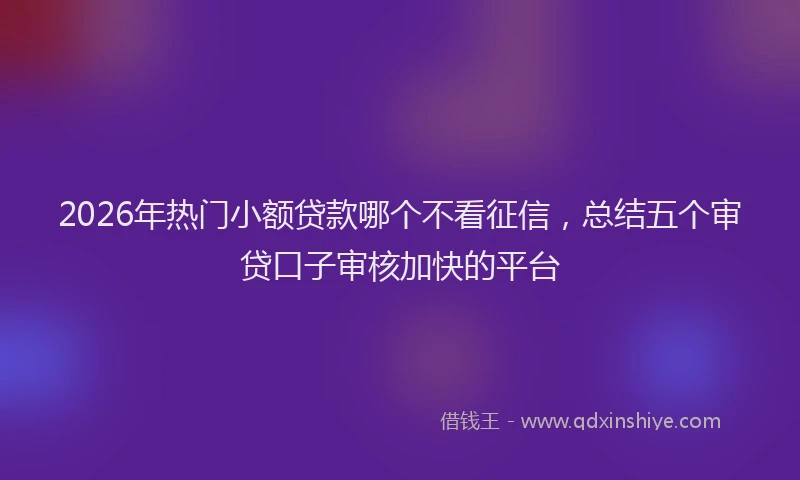 2026年热门小额贷款哪个不看征信，总结五个审贷口子审核加快的平台