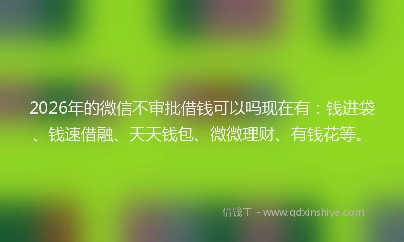 2026年的微信不审批借钱可以吗现在有：钱进袋、钱速借融、天天钱包、微微理财、有钱花等。