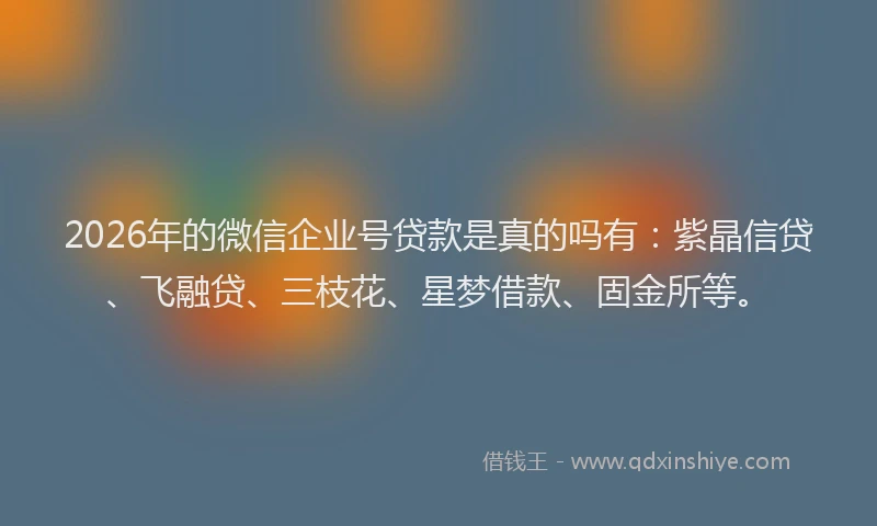 2026年的微信企业号贷款是真的吗有：紫晶信贷、飞融贷、三枝花、星梦借款、固金所等。