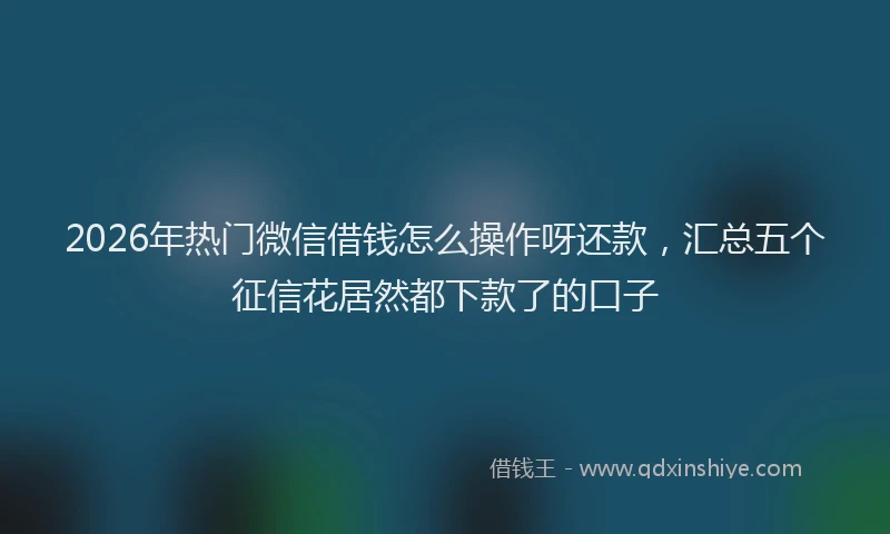 2026年热门微信借钱怎么操作呀还款，汇总五个征信花居然都下款了的口子