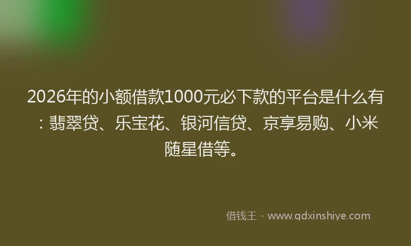 2026年的小额借款1000元必下款的平台是什么有：翡翠贷、乐宝花、银河信贷、京享易购、小米随星借等。