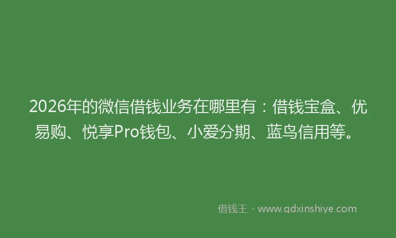 2026年的微信借钱业务在哪里有:借钱宝盒、优易购、悦享Pro钱包、小爱分期、蓝鸟信用等。