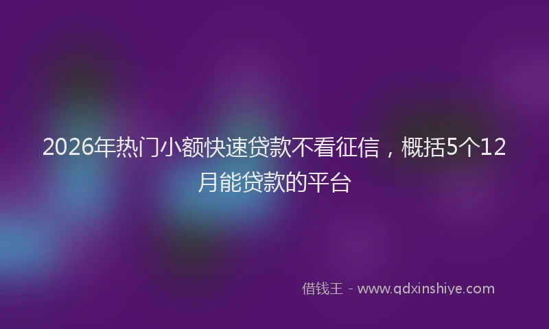 2026年热门小额快速贷款不看征信，概括5个12月能贷款的平台