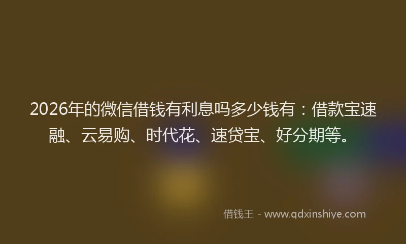 2026年的微信借钱有利息吗多少钱有:借款宝速融、云易购、时代花、速贷宝、好分期等。