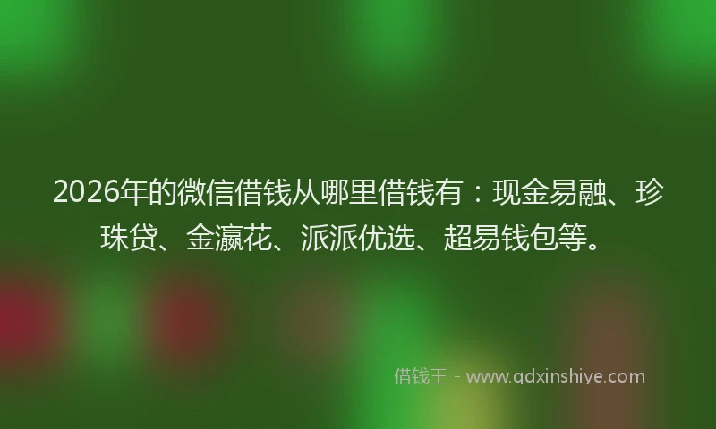 2026年的微信借钱从哪里借钱有：现金易融、珍珠贷、金瀛花、派派优选、超易钱包等。