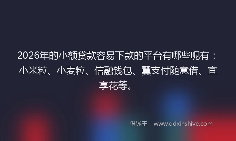 2026年的小额贷款容易下款的平台有哪些呢有:小米粒、小麦粒、信融钱包、翼支付随意借、宜享花等。