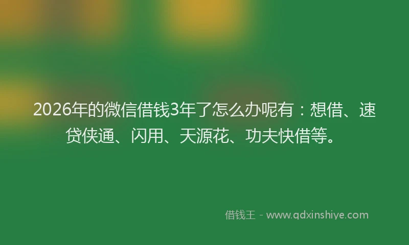 2026年的微信借钱3年了怎么办呢有：想借、速贷侠通、闪用、天源花、功夫快借等。