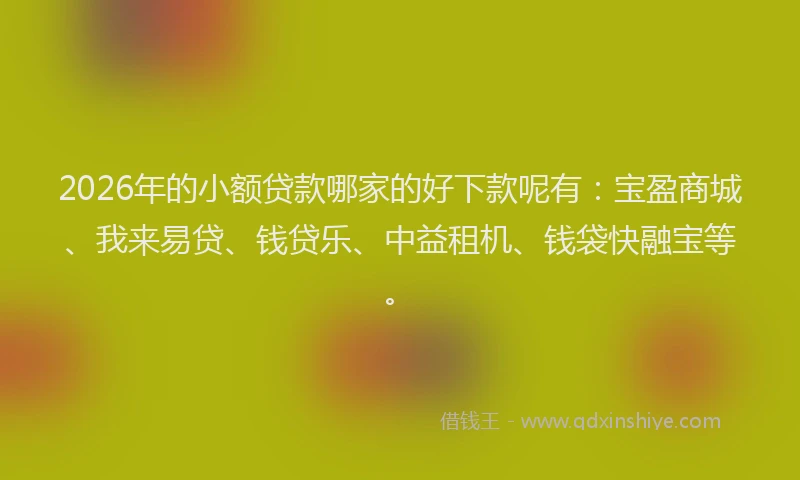 2026年的小额贷款哪家的好下款呢有:宝盈商城、我来易贷、钱贷乐、中益租机、钱袋快融宝等。