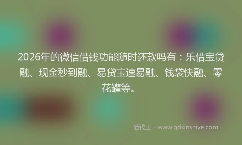 2026年的微信借钱功能随时还款吗有：乐借宝贷融、现金秒到融、易贷宝速易融、钱袋快融、零花罐等。