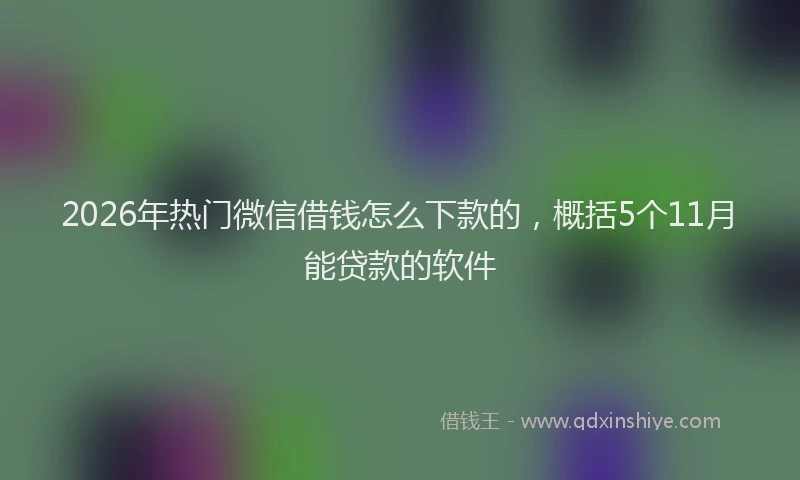 2026年热门微信借钱怎么下款的,概括5个11月能贷款的软件
