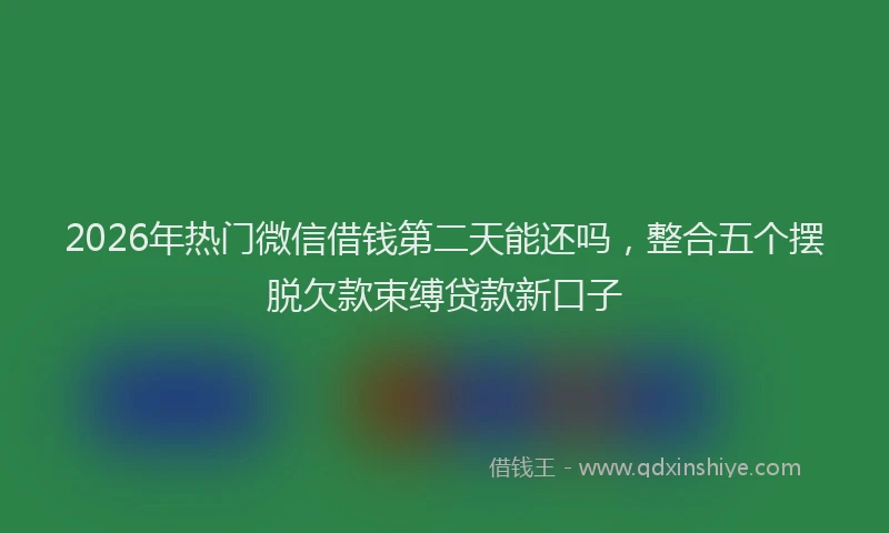 2026年热门微信借钱第二天能还吗，整合五个摆脱欠款束缚贷款新口子