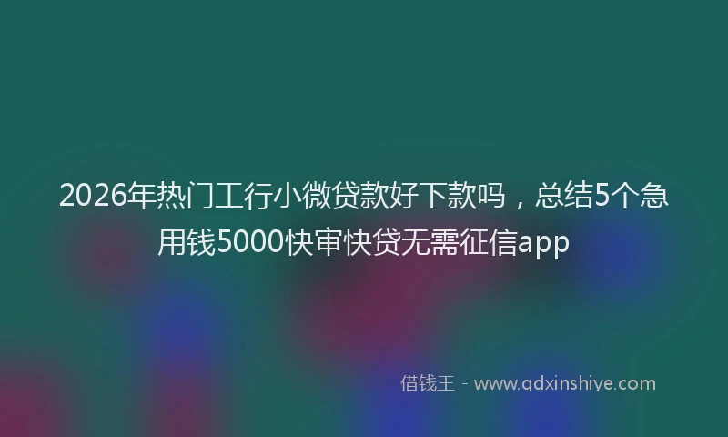 2026年热门工行小微贷款好下款吗，总结5个急用钱5000快审快贷无需征信app